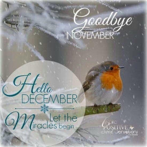December 2021 Newsletter