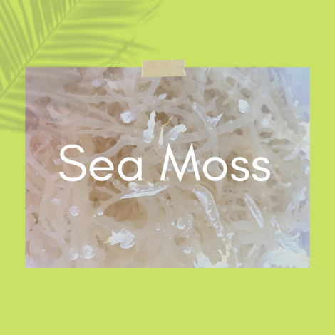 Sea Moss