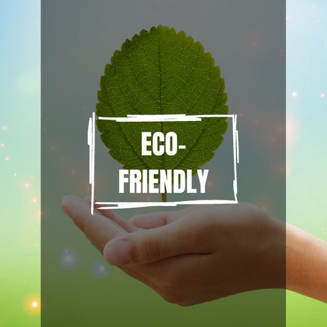 Eco-Friendly Products