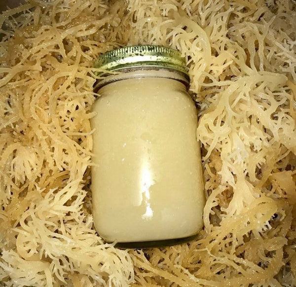 Sea moss gel 16 oz glass jar