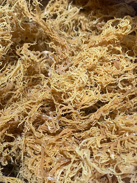 Sea moss gel 16 oz glass jar