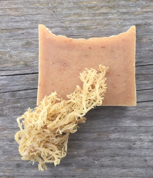 Orange Soap, Sea Moss Soap
